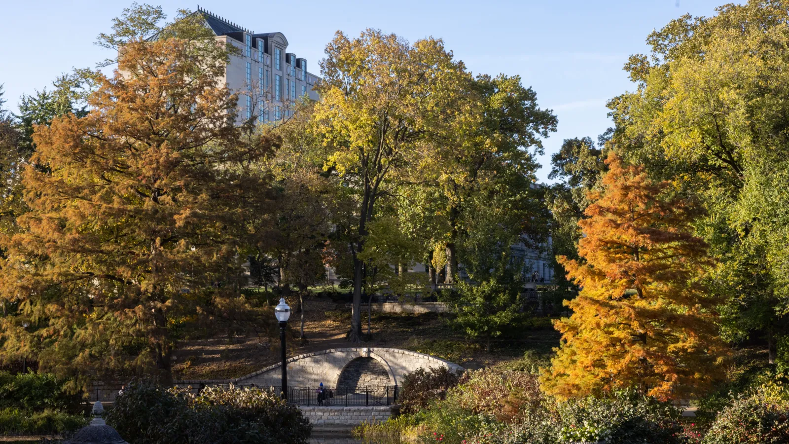 View of campus fall colors from the top of the Browing Ampitheatre on a late fall day.